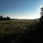Mein Platz Im Harz *