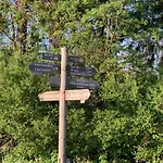 Mein Platz Im Harz *