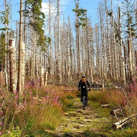 Mein Platz Im Harz * Braunlage