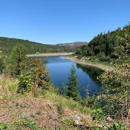 Mein Platz Im Harz برونلاغ