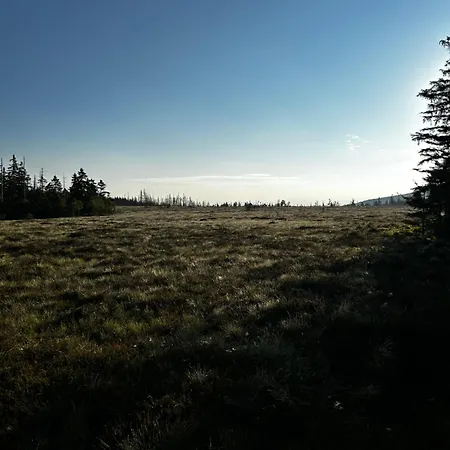 Mein Platz Im Harz *
